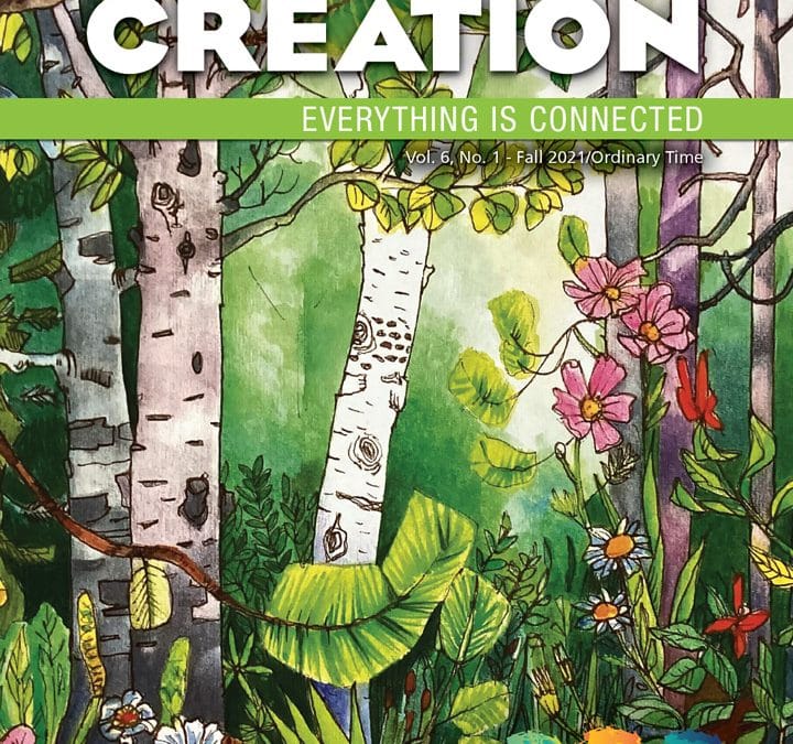 Care for Creation Educator’s Guide 2022